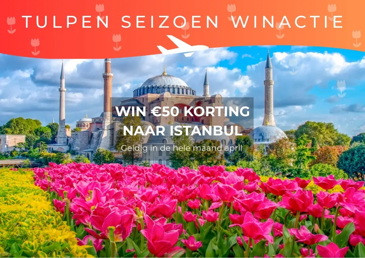 tulpen-seizoen-istanbul-winactie_1772551860725.webp