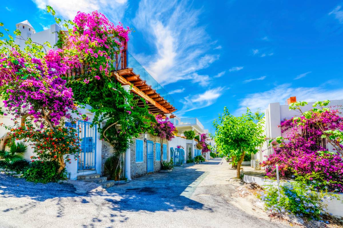 vakantiebestemming-turkije-bodrum-straat-met-bloemen_1761056348722.jpg